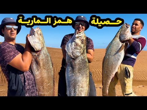 وثائقي: ليلة همز المارية🌊وهجوم أسماك الكوربين العنيدة🔥
