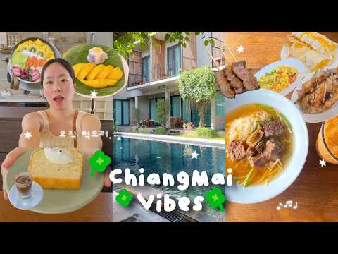 그냥 좋아서 또 먹으러 간 치앙마이💛 찐찐찐 맛집, 분좋카, 올드타운 가성비 숙소, 님만해민 5성급 호텔 다 털어옴!
