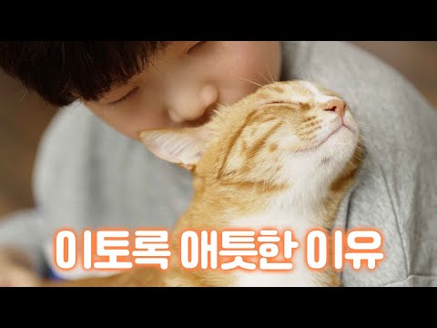 All cat butlers should learn from this 12-year-old boyㅣMeow-chul's Home Visit Ep.Oreo Cheese