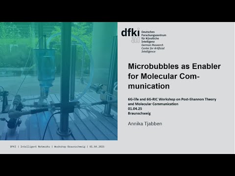 Microbubbles as Enabler for Molecular Communication - Annika Tjabben