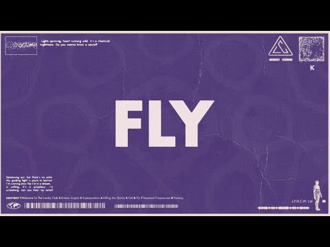 Alan Walker, Steve Aoki, Lonely Club - Fly (Official Visualizer)