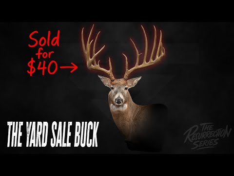 He Sold This Buck for $40… It Became a World Record