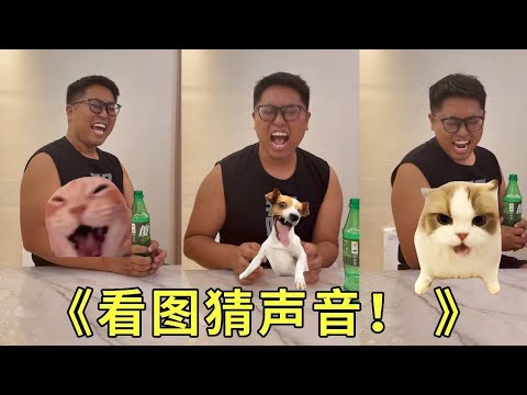 《看图猜声音》猫meme声音太好猜了！大家说这个模仿能力是不是满分！完美拿捏！