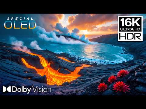 World’s Most Incredible 16K Video – Dolby Vision™ OLED Display Test 120FPS