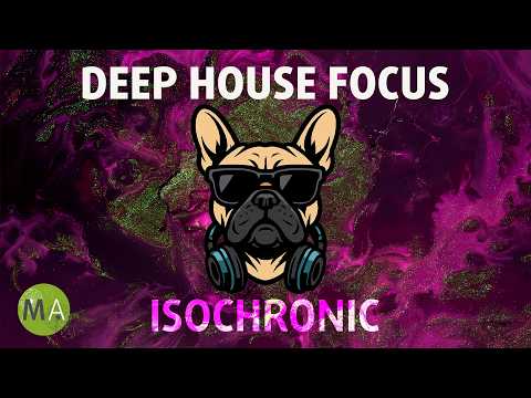 Peak Focus for Complex Tasks - Deep House Lounge French Bulldog Mix