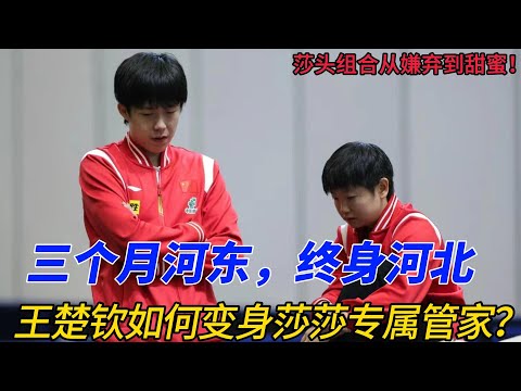 孙颖莎×王楚钦：从互不对眼到甜蜜搭档，赛场名场面笑翻全网！三个月河东终身河北，莎莎如何让贵头变‘卑微管家’？巴黎奥运混双胜利背后故事曝光！#王楚钦 #孙颖莎 #莎头 #熱門 #乒乓 #天选混双