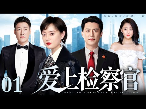 【好看的电视剧】爱上检察官 01 | 孙俪、靳东谈情说案（孙俪 / 靳东 / 殷桃 / 于震）