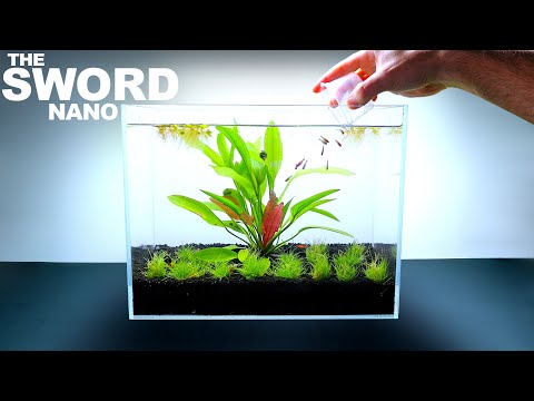 THE SWORD NANO TANK w/ Ruby Tetra Fish & Aquatic Compost (No Filter, Aquascape Tutorial)