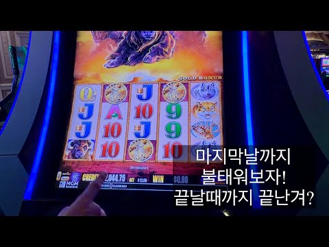 라스베가스 카지노 슬롯머신 6탄, 벨라지오에서의 마지막날 끝날때까지 놀아보자!  모모모 머미, 허프퍼프, 올어보드, 버팔로 골드