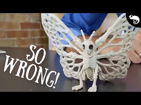 Zoologist Reacts To Your Horrible Halloween Decorations 2023