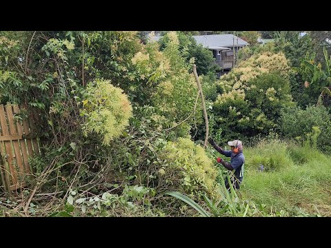 CRAZY Backyard MAKEOVER | The Owner NEVER Expected This!