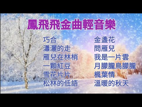 [無廣告音樂] 鳳飛飛金曲輕音樂🎶 鋼琴演奏/卡拉ok字幕/伴奏音樂/電影主題曲/經典老歌/秋天的歌/巧合/瀟灑的走/一顆紅豆/雪花片片/金盞花/楓葉情/我是一片雲