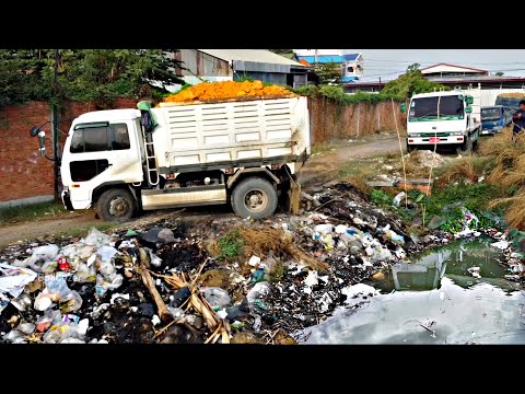 First Starting A New Project! Filling Land Delete Garbage By  Komat'su D31P Dozer with 5ton Trucks