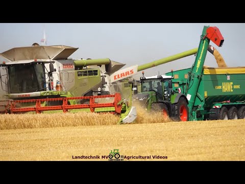 Claas - Fendt - Hawe - ++ / Getreideernte - Grain Harvest  pt.2  2023