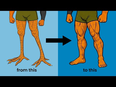 Your Legs Need These Workouts (no kidding)