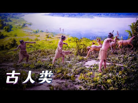 6万年前的古人类不会说话是如何造船，横渡大洋殖民新大陆【宇宙自然生命简史】