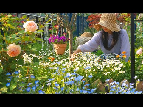 #110. Here are seven naturally occurring flowers that will enrich your garden!