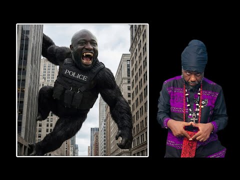 TEARFUL TAMALE KING KONG PROMOTED BY IGP