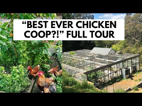 "Best Chicken Coop I've Ever Seen" | Integrated Chicken Run, Veg Garden & Orchard