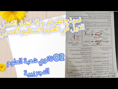 اقوى نموذج ومراجعة شاملة للفرض و الاختبار الفصل الاول في العلوم للسنة 02ثانوي حول التنظيم العصبي 