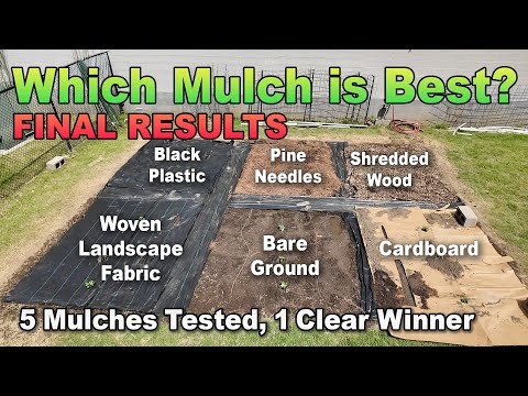 We Tested 5 Mulches All Season—Here’s the Winner