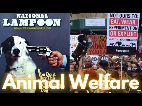 Can a bitcoin standard improve animal welfare? An analysis
