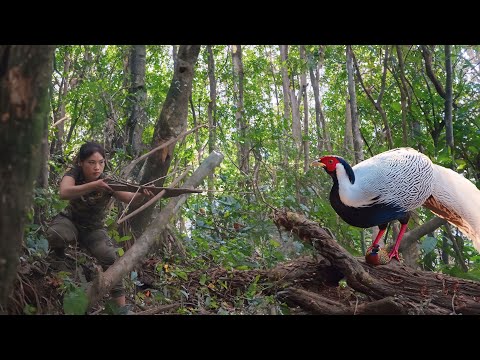 set pheasant traps, make new beds for shelter, survival alone