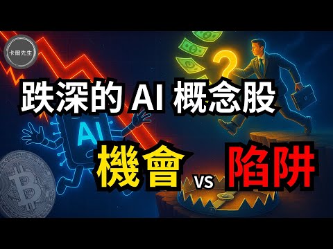 跌落神壇的AI概念股：Duolingo 與 Adobe，熱潮退去還是買點嗎？(EP318)20251005