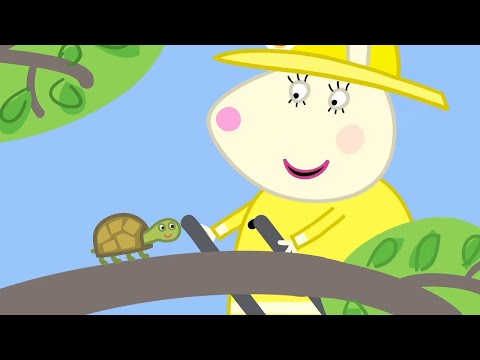 小猪佩奇 | 仓鼠医生的乌龟 | 兒童卡通片 | Peppa Pig Chinese | 动画