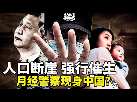 2025新生儿暴跌！云南“月经统计”震惊全国：我们离“月经警察”只差一步？从避孕用品加税到月经监控，危险信号不止一个！齐奥塞斯库时代的噩梦正在回归