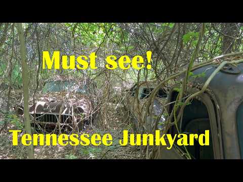 Wow! Incredible junkyard in the woods of Tennessee! Everything is for sale.