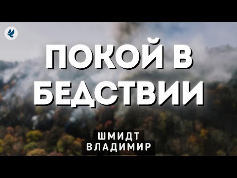 Peace in Adversity. Schmidt V.V. Sermon of the MCC ECB