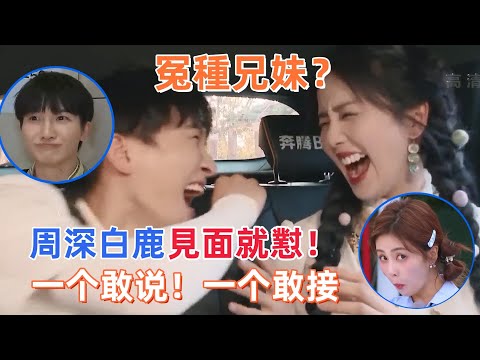 #白鹿 #周深 互懟名場面！這倆人在一起真的太吵了！#zhoushen #bailu #奔跑吧