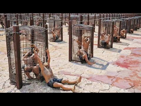 Prisoner Shatters the Impossible Jail – You Won’t Believe How He Escaped!