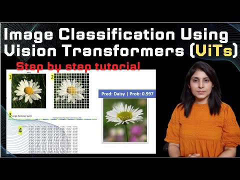 Image Classification Using Vision Transformer | ViTs