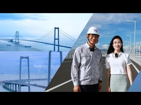 Exploring mega project in China: Shenzhen-Zhongshan Link