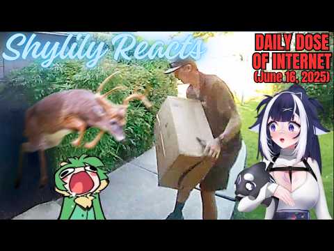 Shylily Reacts to Daily Dose of Internet: No Words Were Needed (June 16, 2025)