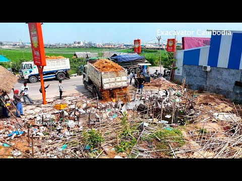 Full Video Project Bury Trash By 10 Wheel - 5Ton Truck Unloading Soil & MITSUBISHI Bulldozer Pushing