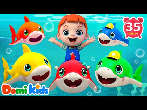 鯊魚寶寶大變身🦈💫｜海洋動物認知｜趣味角色扮演｜寶寶勇氣挑戰｜親子互動兒歌🎵｜寶貝多米益智