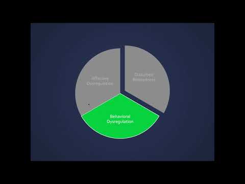 What We Are Learning About Brain Biology and Borderline Personality Disorder