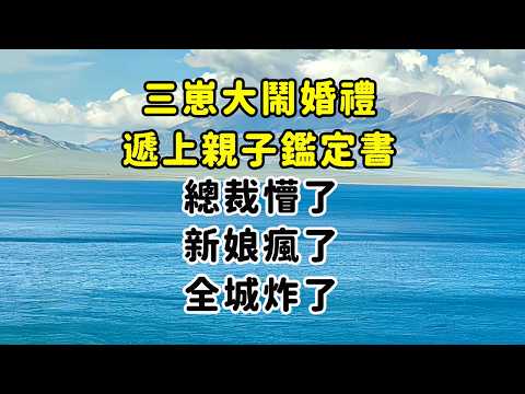 三崽大鬧婚禮，遞上親子鑑定書。總裁懵了，新娘瘋了，全城炸了！