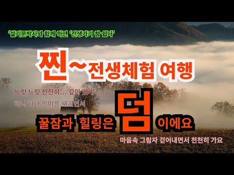 찐하고 느리고 깊이있는 전생여행