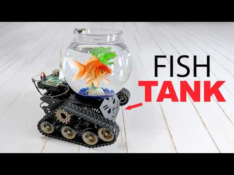 I taught my fish to drive