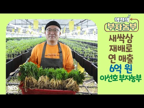 [역전의부자농부 238회] 새싹삼 재배로 연매출 6억 원! 전남 담양 이선호 부자농부
