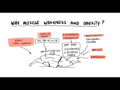 Long COVID Fatigue, Muscle Pain. and Fat Gain? Let's Fix it!