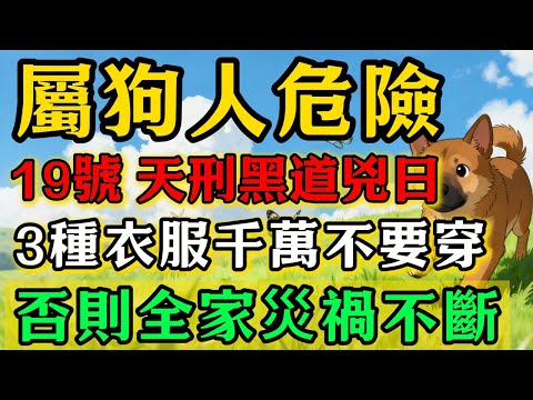 生肖狗必看！12月19號，農曆十月三十是「天刑黑道兇日」，這3個顏色的衣服千萬不要穿，否則災禍不斷，全家不得安寧！#佛靈禪境#屬相運勢#生肖#家運#生肖運勢的那些事#先知#風水變化#提升運勢