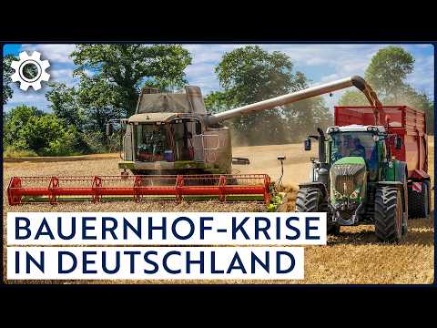 Moderne Bauernhöfe im Kampf ums Überleben: Was viele nicht sehen | Doku