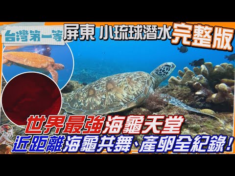 [全新] 屏東【世界最強「海龜天堂」近距離海龜共舞、深夜上岸產卵全紀錄！/小琉球限定！琉球人古早味海陸雙拼"魷魚封肉"】│2025.08.10│《台灣第一等》完整版
