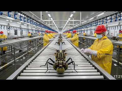 Inside the Odonata Factory: How Thousands of Real Wings Turn Into Ultra-Thin UAVs (Full Process)