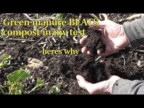 green manure is the compost winner in my trial